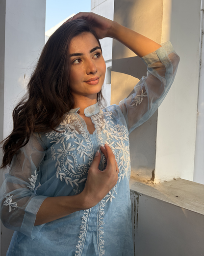 comfortable organza chikankari kurti